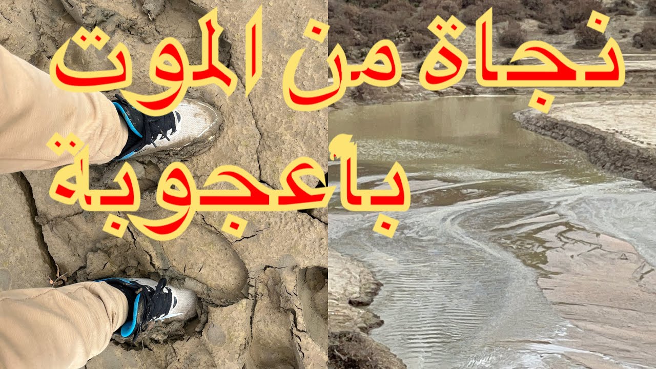   شاهد نجاة من الموت بأعجوبة تجربة قوية جدًا وقد تخلّي الإنسان يحس بمزيج من الصدمة والامتنان والخوف 
