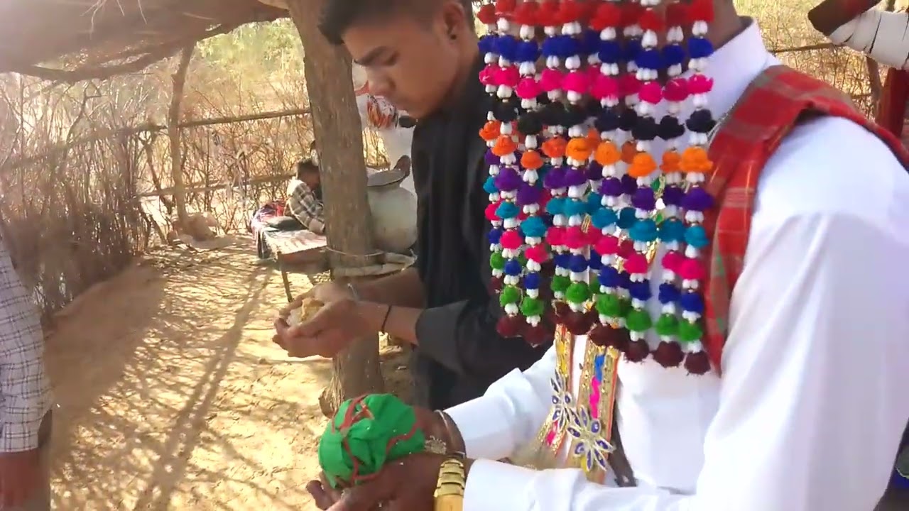 हमारे  रेगिस्तान का दूल्हा राजा का नजारा 16/17/5/2025 /सादी का नजारा