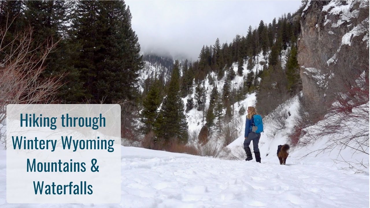Hiking through Wintery Wyoming Mountains - Waterfalls, Icefalls, Creeks, Wildlife, Natural Beauty