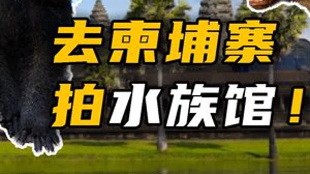 柬埔寨人均日收入5美元 ，这里的水族馆值得一游吗？ #柬埔寨 #水族馆 #湄公河巨鲶 #自然奇境科普季  #春日盛放