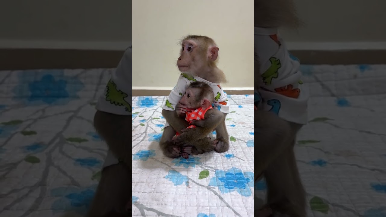 Admiring Mrr Jacky it is Take good care to Baby Linda