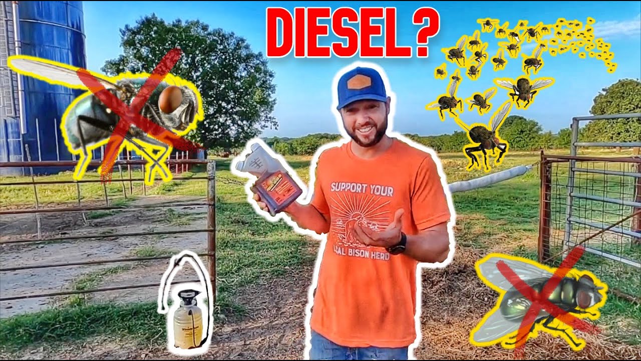 A FLY TRIED TO KILL MY BISON! So I used THIS to stop them...