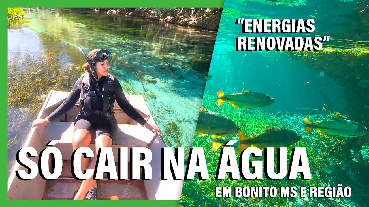 Conheça o Rio Sucuri em Bonito MS