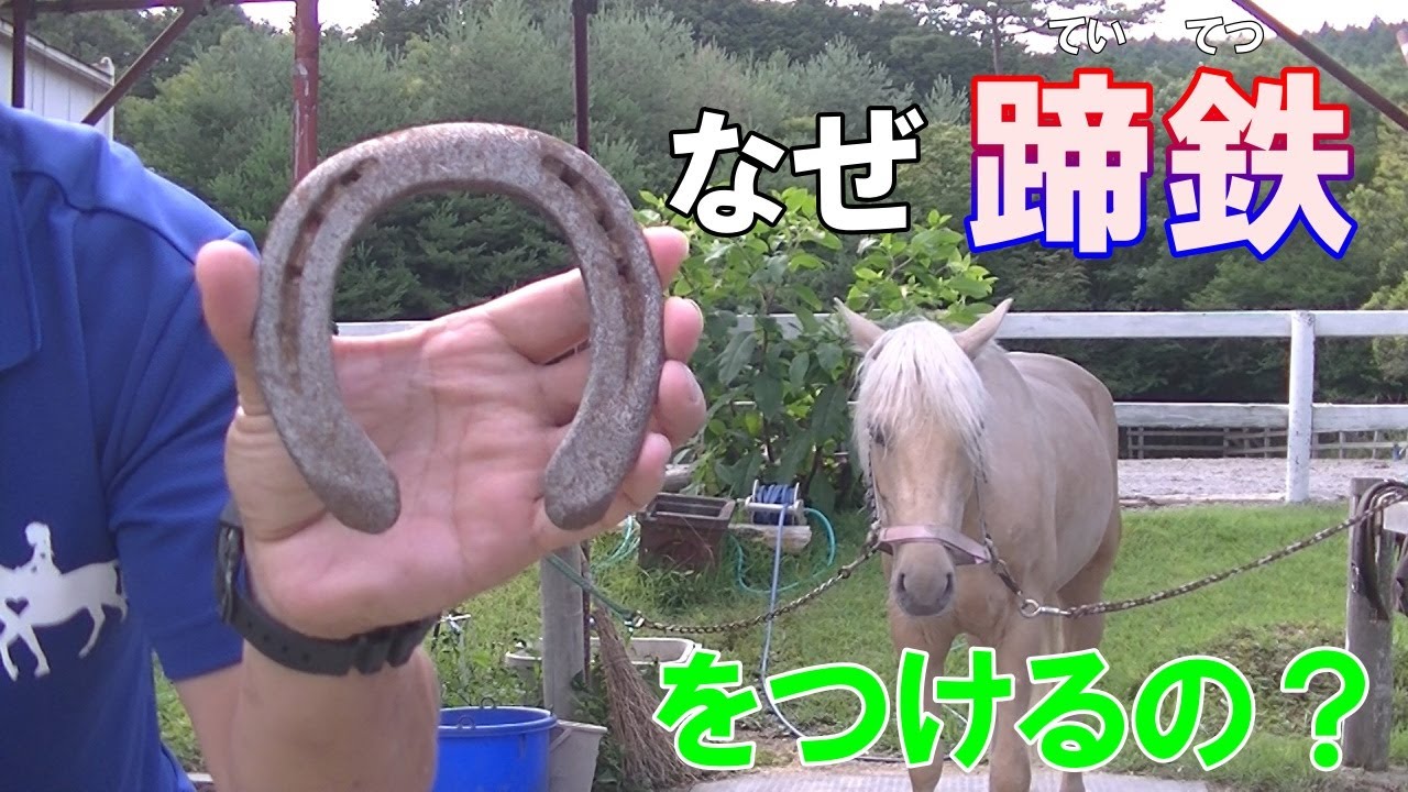 馬はなぜ蹄鉄をつけるの？ナッキーの馬の教室