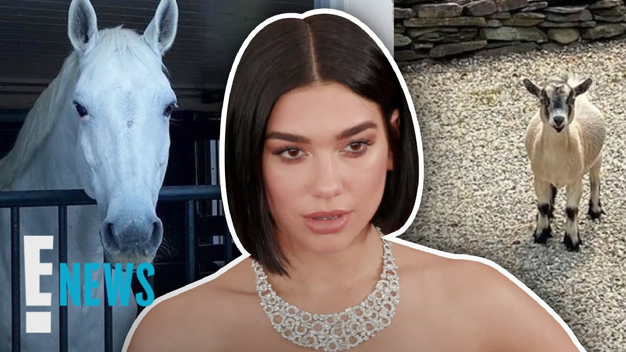 Dua Lipa Details Life Down on the Hadid Family Farm | E! News
