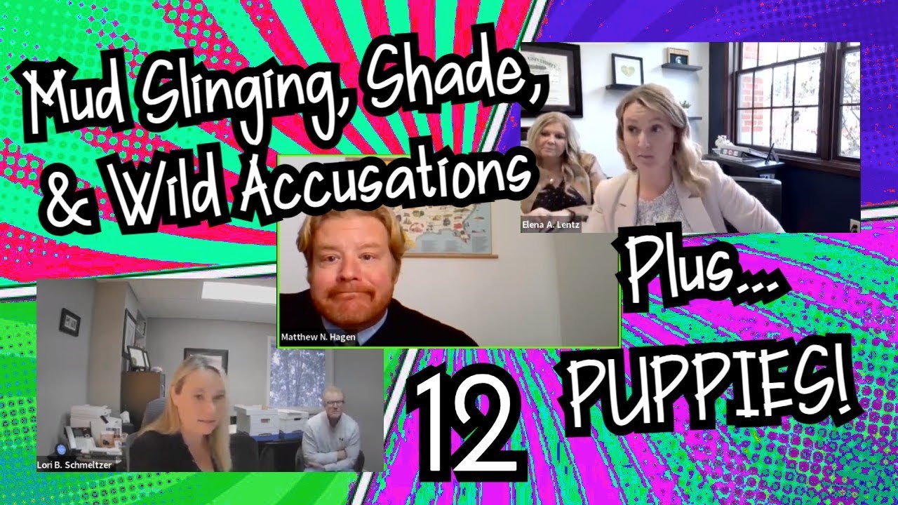 PART 12 ⫶ Divorce With ALL The Drama!