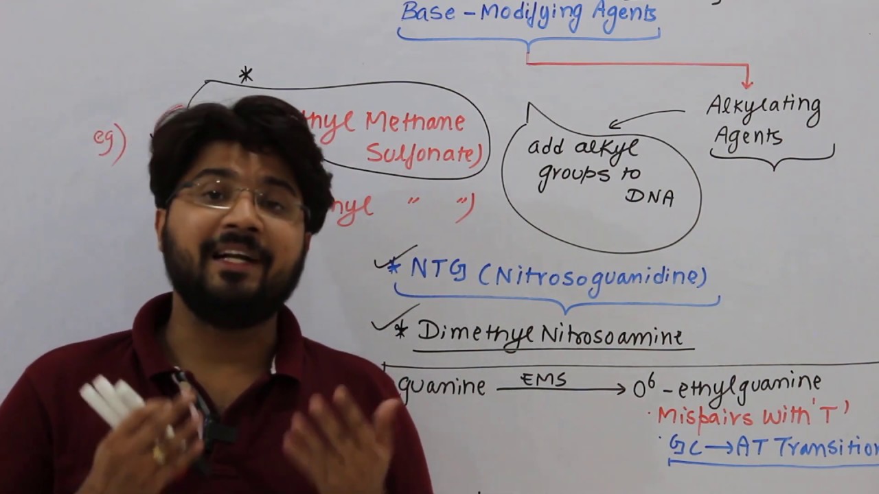 Base modifying agents #Chemical mutagens #CSIR #DBT #NEET #IFS