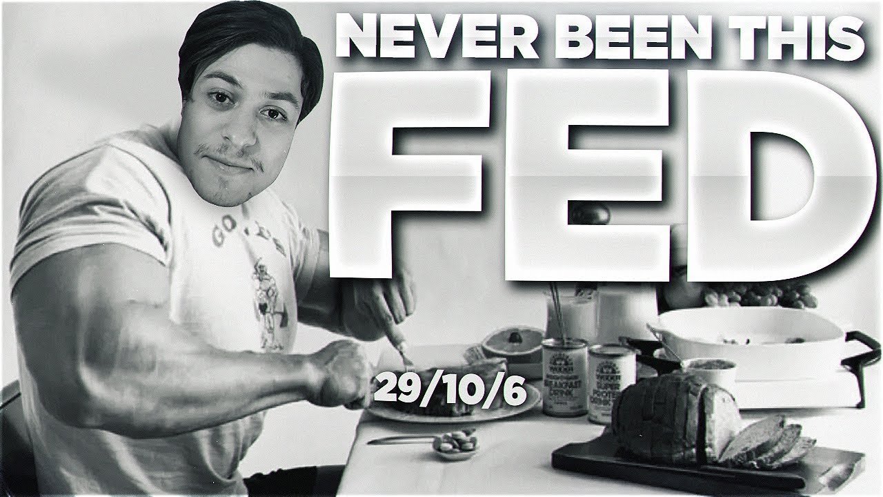 LL STYLISH | I'VE NEVER BEEN THIS FED BEFORE (MERCH AVAILABLE)