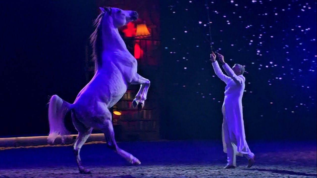 Cavalluna - Grand Moments Tour 23.02.2025 Stuttgart Alex Giona Pferdeshow reiten Teil 18 Freiarbeit