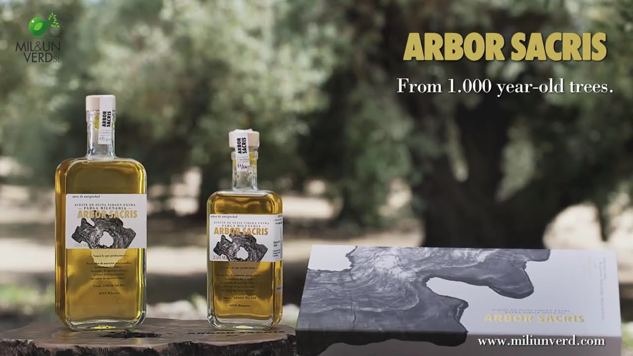 Ancient millennial olive trees |  The oldest olive trees in Spain |