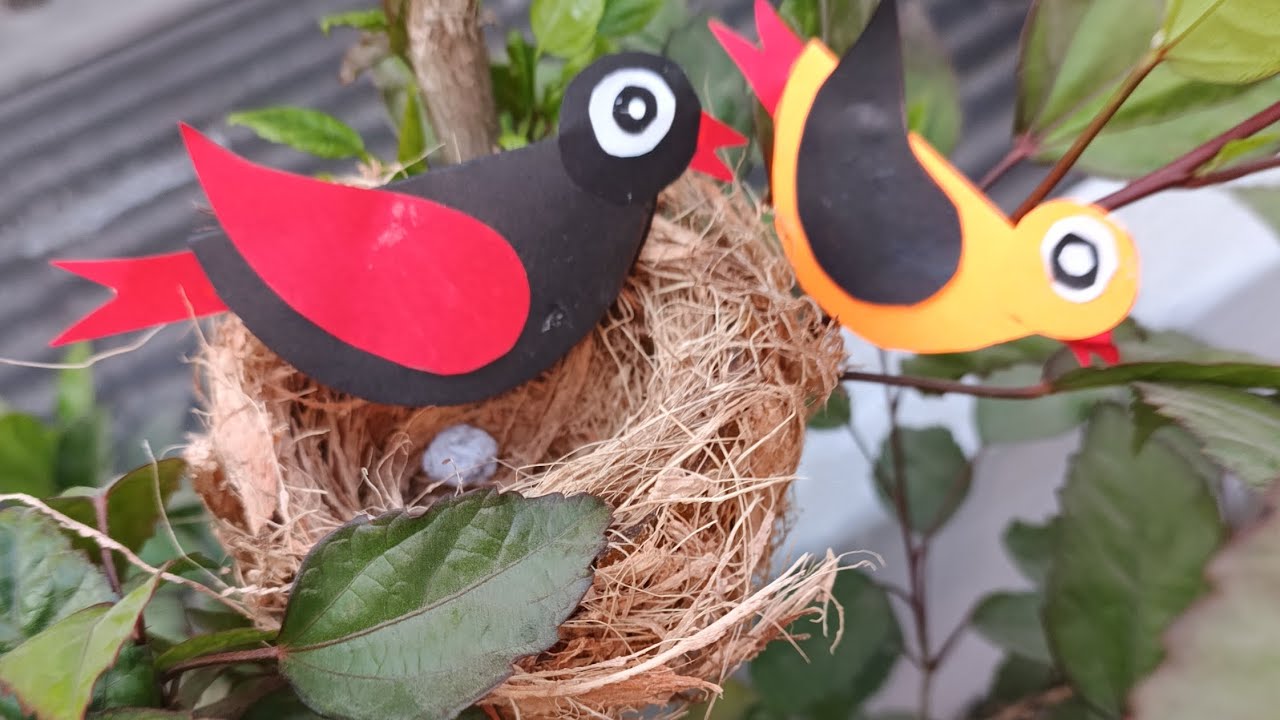 bird nest making with coconut shell #shorts #diycrafts #coconut shell