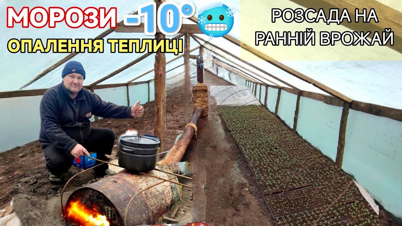 Вирощування розсади. Зима Мороз -10°. Опалення теплиці