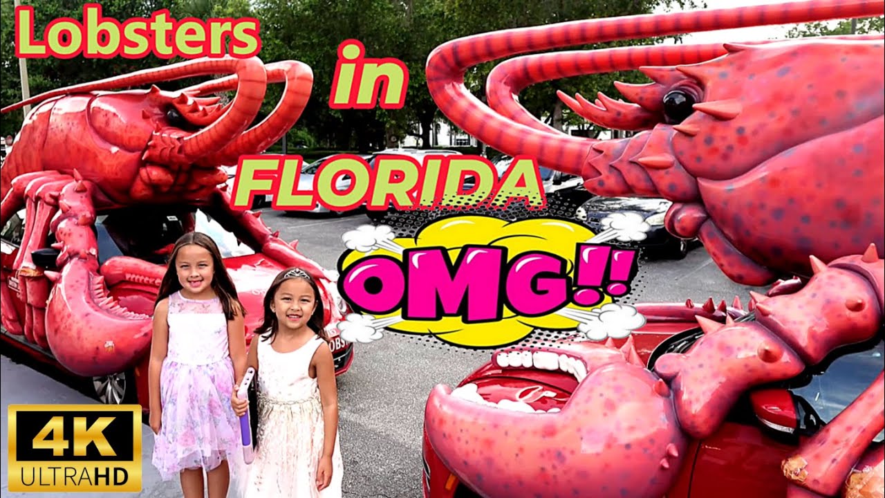 OMG!!! Lobsters In Florida | All You Can Eat Till You Drop | Visiting Boston Lobster Feast | Tour