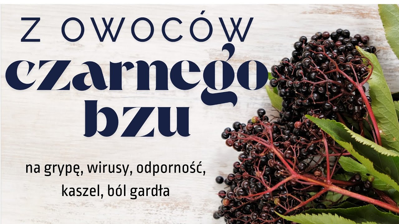 Czarny bez – właściwości, zastosowanie i przepisy | Syrop, sok, nalewka, dżem, żelki, wino