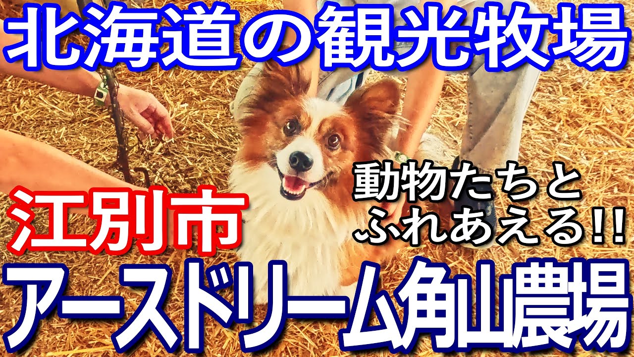 北海道ゆる旅【江別市の観光牧場】アースドリーム角山農場へ