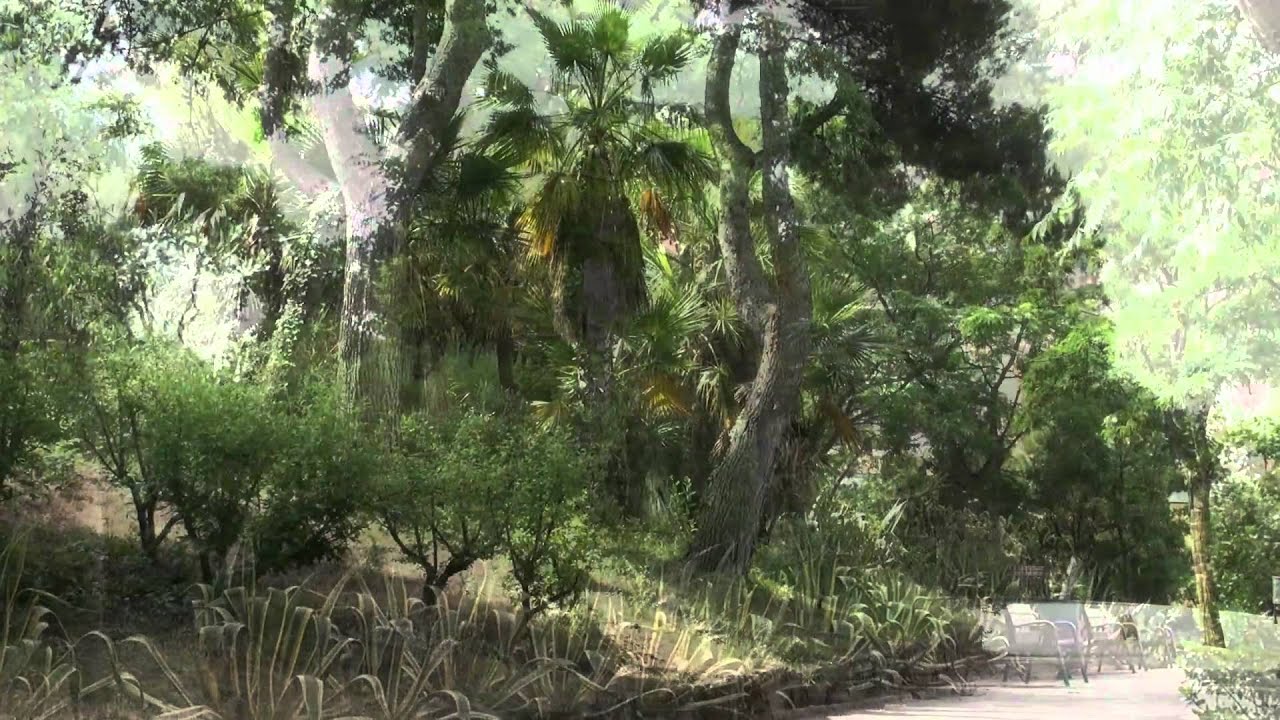 Parc del Turó de la Peira  (Barcelona)