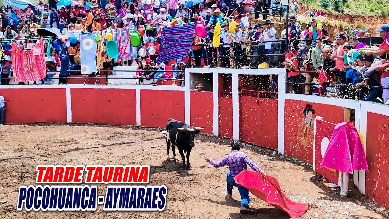 FIESTA EN HONOR A LA VIRGEN INMACULADA CONCEPCION ► POCOHUANCA - AYMARAES - APURIMAC