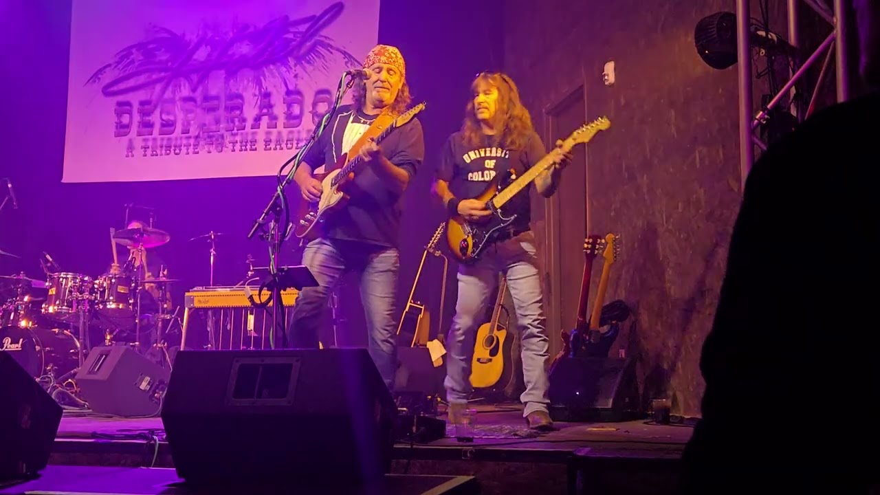 Walk Away Joe Walsh cover by Hotel Desperado 10 10.25