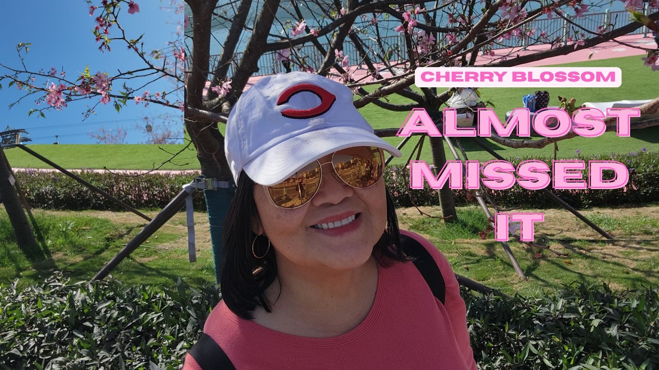 I Almost Missed It - 2026 Cherry Blossom Season in Hong Kong