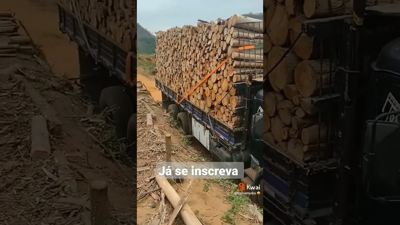Olha s&oacute; galera para essa muri&ccedil;oca BM 1121