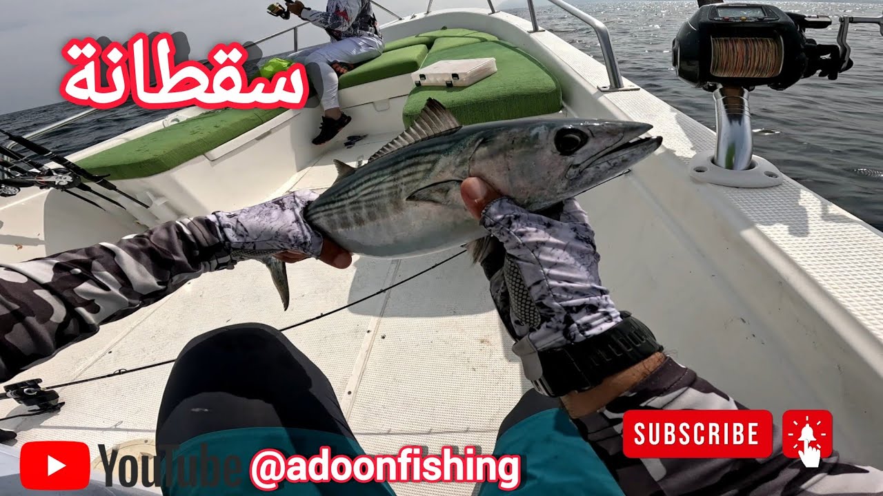 تعلم طريقة الجيجينج للأسماك القاعية