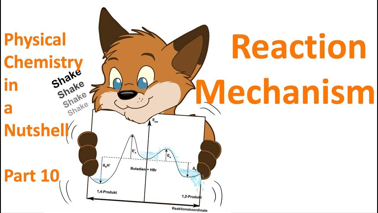 Reaction Mechanism 101 (How to describe reversible/consecutive/parallel reactions) PhysChemBasics#10