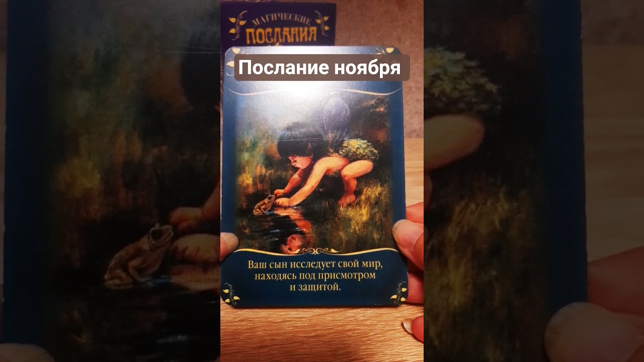 ПОСЛАНИЕ НОЯБРЯ 2025 ГОДА #юлиягулюк #подсказкаангелов #shortsangel #тарологпроводник #юліягулюк