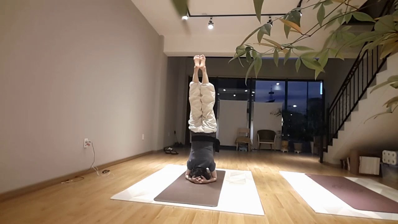 매일 수련- 국선도 두좌법