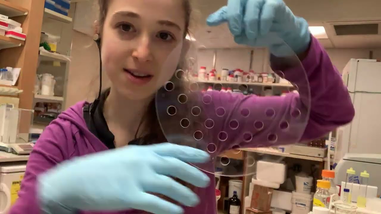 Cryoprotecting, flash freezing, and storing protein samples: cryoprotectants, vitrification, etc.