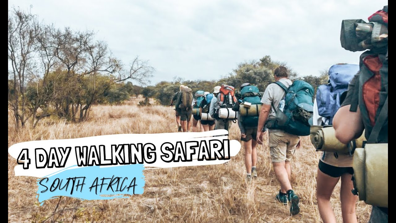 4 DAY SAFARI TRAIL THROUGH THE TIMBAVATI, KRUGER NATIONAL PARK. || Lowveld Trails Co.