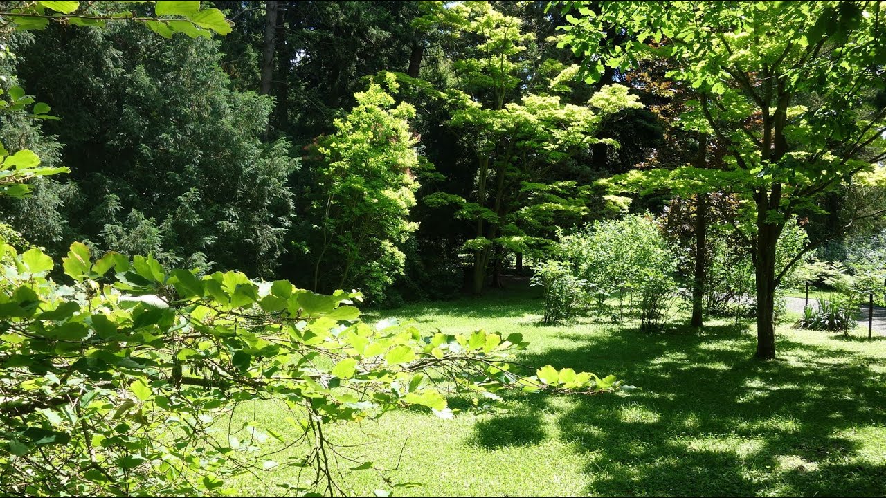 Arboretum Bílá Lhota