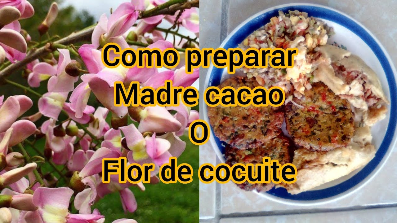 Preparación de madre cacao o flor de cocuite