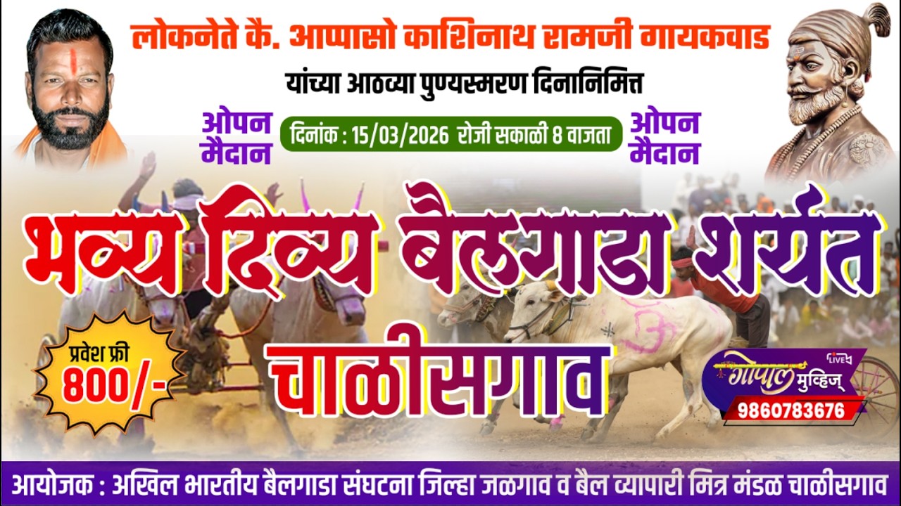 LIVE गट - चाळीसगांव केसरी २०२६ भव्य दिव्य बैलगाडा शर्यत (ओपन मैदान )