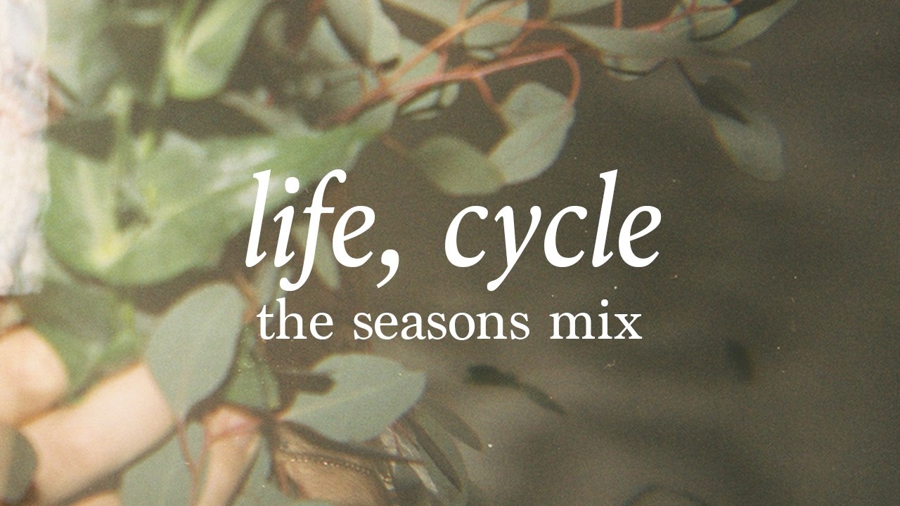 Shallou - Year-Round Chill Mix: Ambient & Dance for Every Season | life, cycle