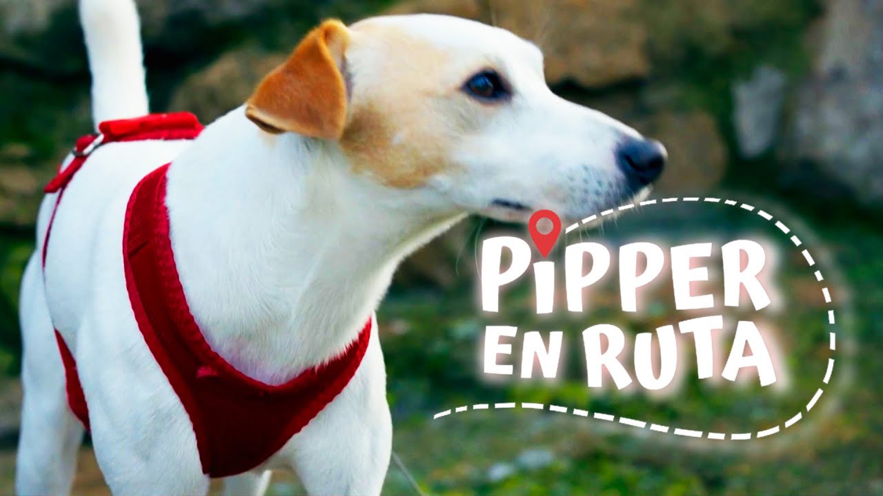 Pipper en ruta - Arribes del Duero | La2