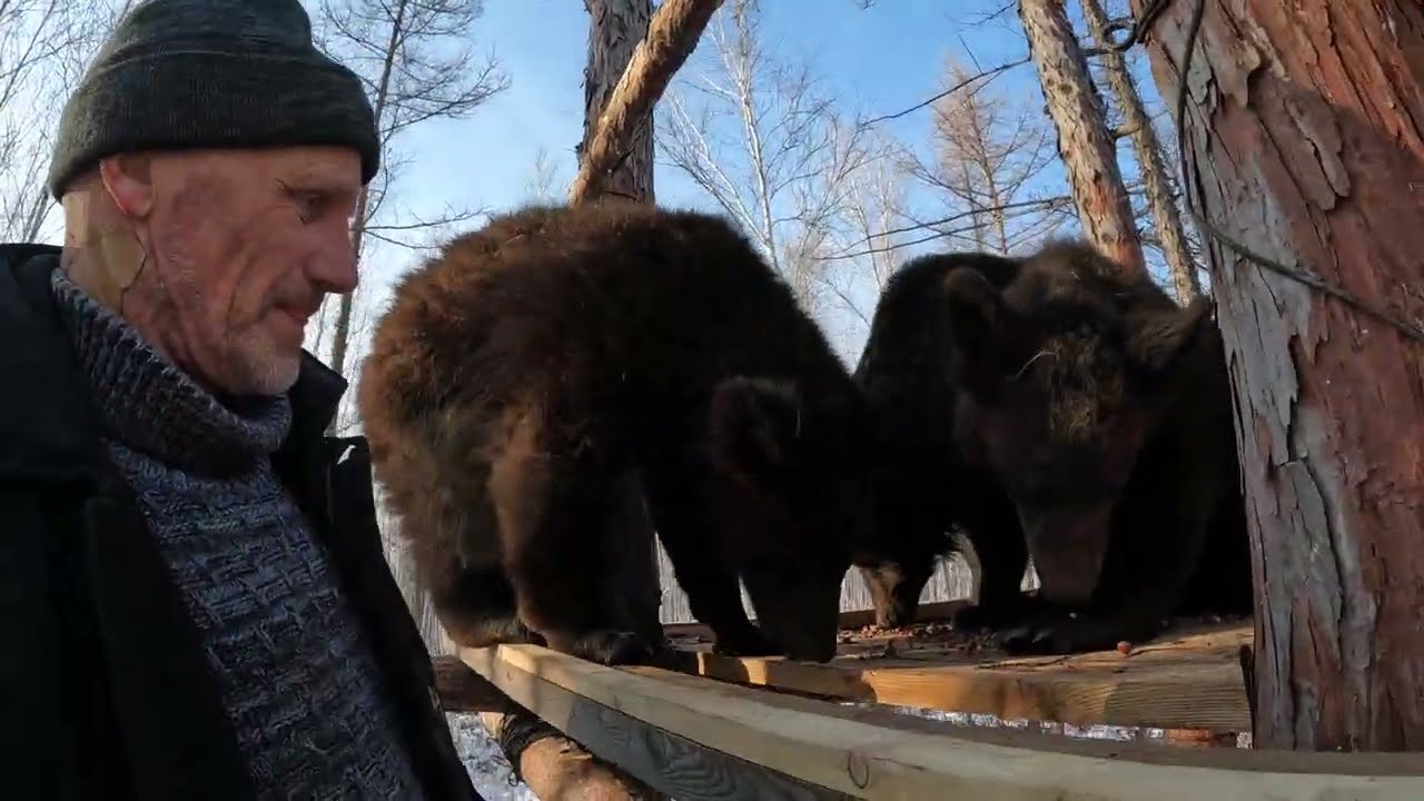 Самое популярное место у медведей.