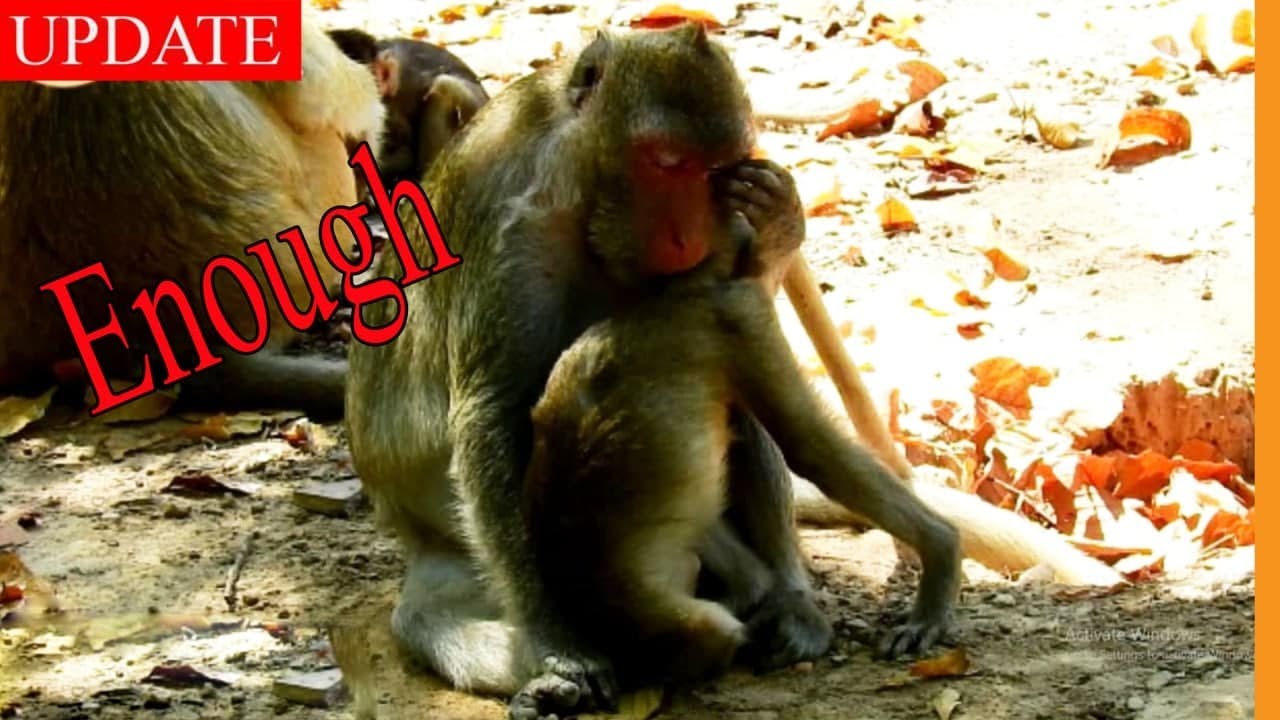 MY GOD .... Jane Seriously  Headache on When Janna Show Her @s* Asking Milk