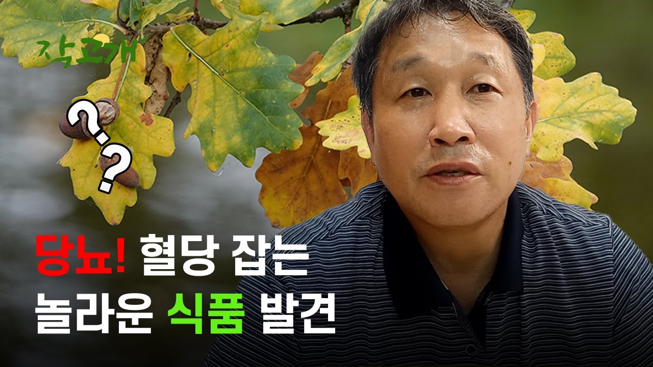 그 어떤 식품보다도 빠른 효과?! 당뇨에 좋은 음식 혈당 낮추는 식품
