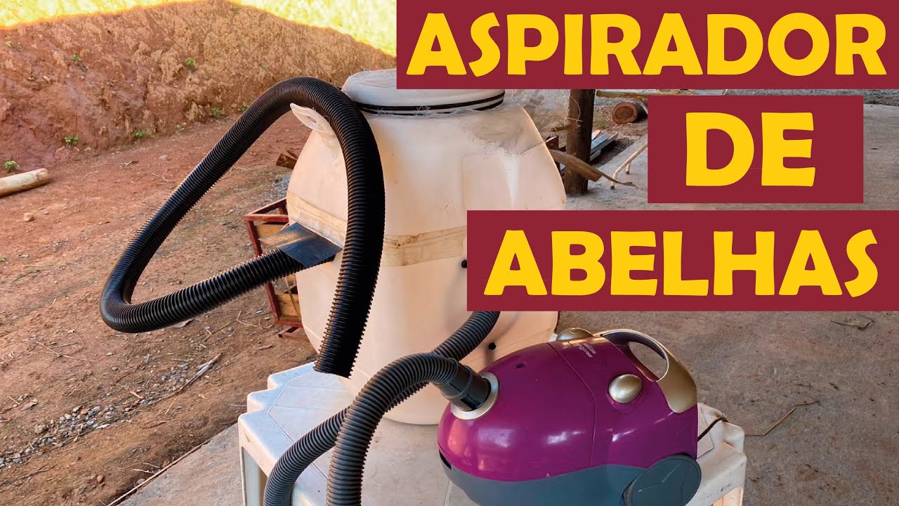 ASPIRADOR DE ABELHAS, perfeito para aspirar resgates de enxames de abelhas APIS.