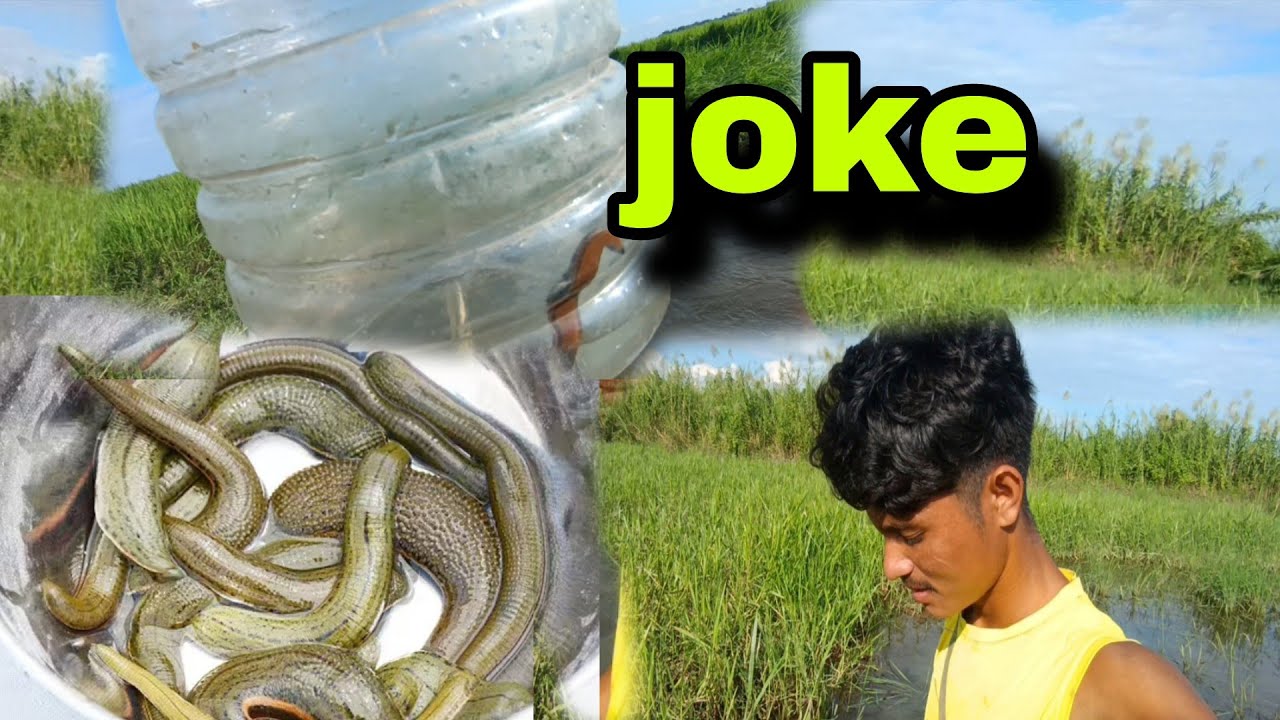 Aaj Ham Log pani ka joke dhundhne gaye the