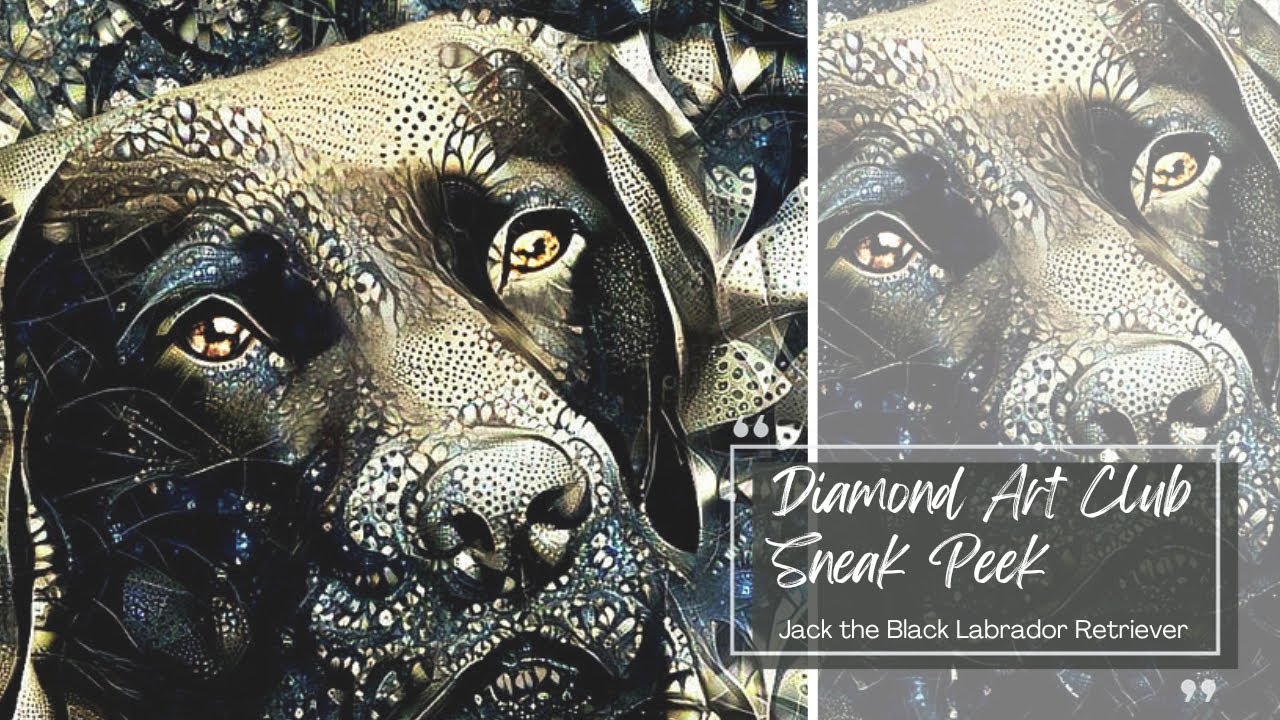 Diamond Art Club Black Friday Sneak Peek || Jack the Black Labrador Retriever