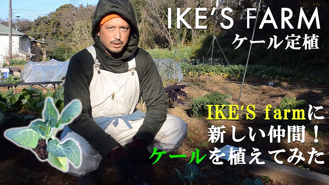 【IKE'S FARM】IKE'S FARMに新しい仲間！ケールを植えてみた
