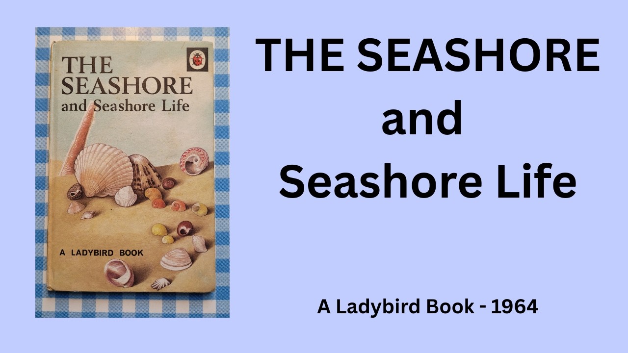 THE SEASHORE and Seashore Life - Ladybird (1964).