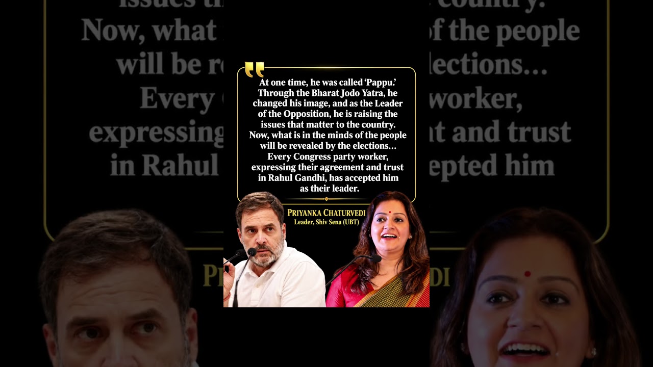 Rahul Gandhi&rsquo;s journey from being called &ldquo;Pappu&rdquo;