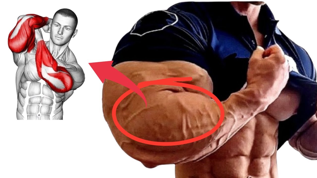 How to Grow Bigger Arms Supersets Workout