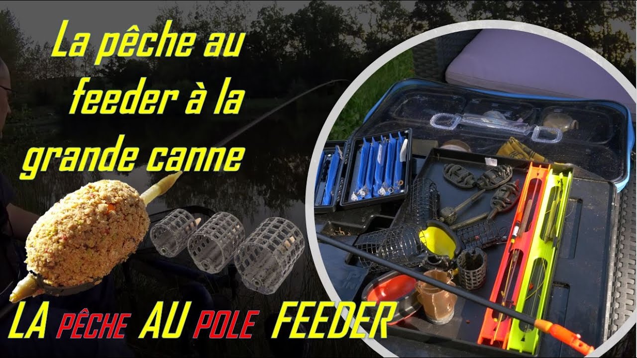 🎥🎞Mon approche pour la Pêche au Pole Feeder 🤟💪 La pêche au feeder à la grande canne 💪