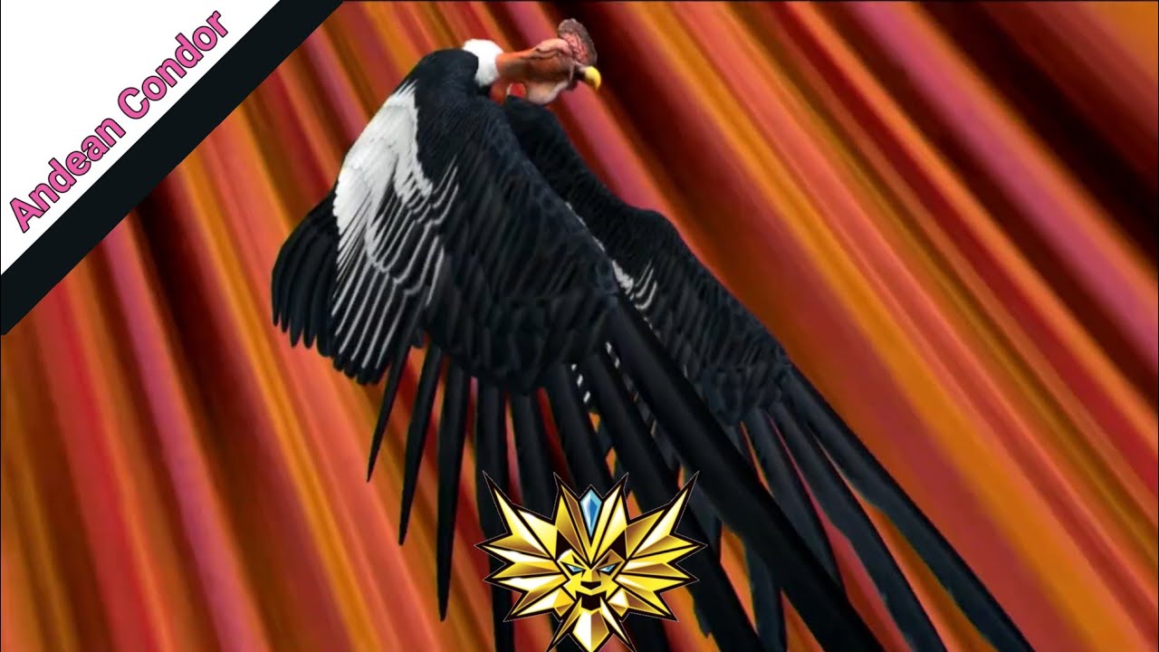 Andean Condor gameplay. Strong animal kaiser max4 | 百獣大戦グレートアニマルカイザー (animal gameplay)