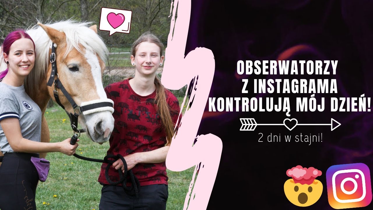 OBSERWATORZY Z INSTAGRAMA kontrolują moje 2 dni #3 | Spa dla Walorka i 100 cm skoki na nogach