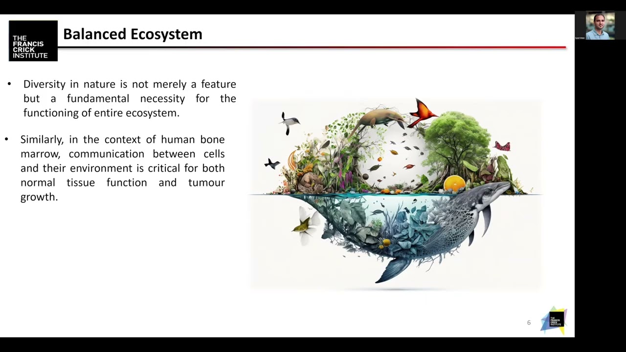 The bone marrow environment in MDS