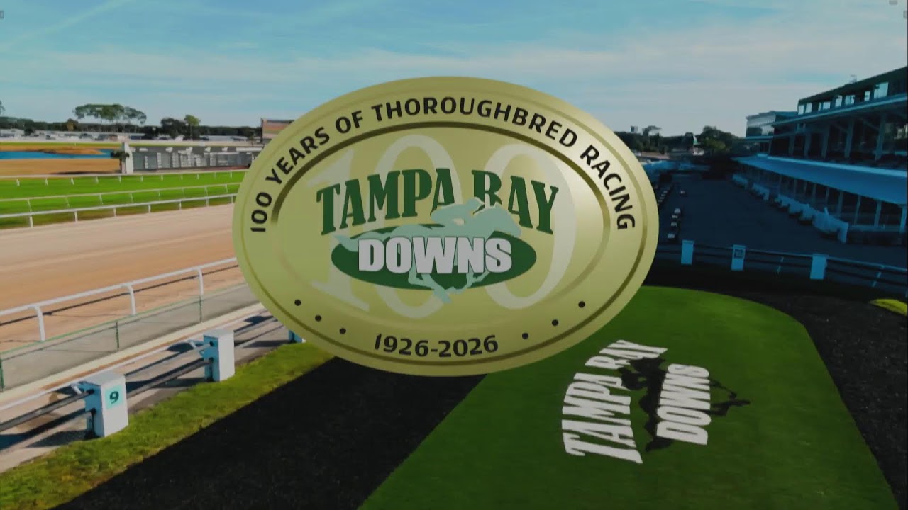 Tampa Bay Downs Live Stream